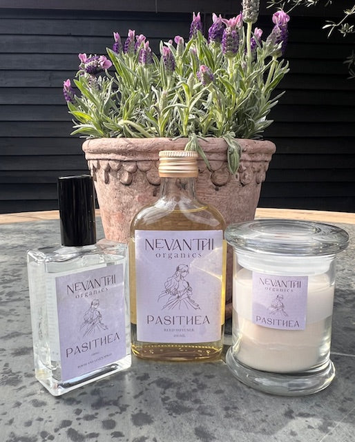 Pasithea collection by Nevanthi Organics — room spray reed diffuser and soy candle with lavender rosewood and bergamot styled with a lavender plant