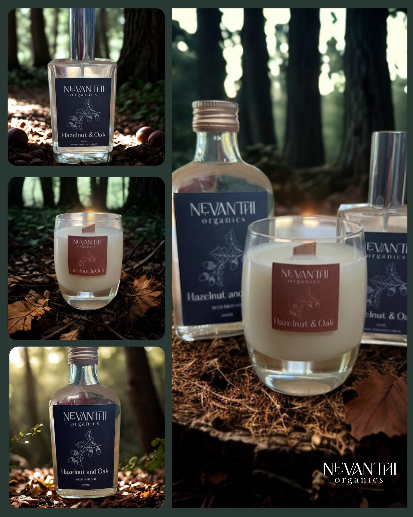 Hazelnut & Oak Reed Diffuser, 200ml - Nevanthi Organics