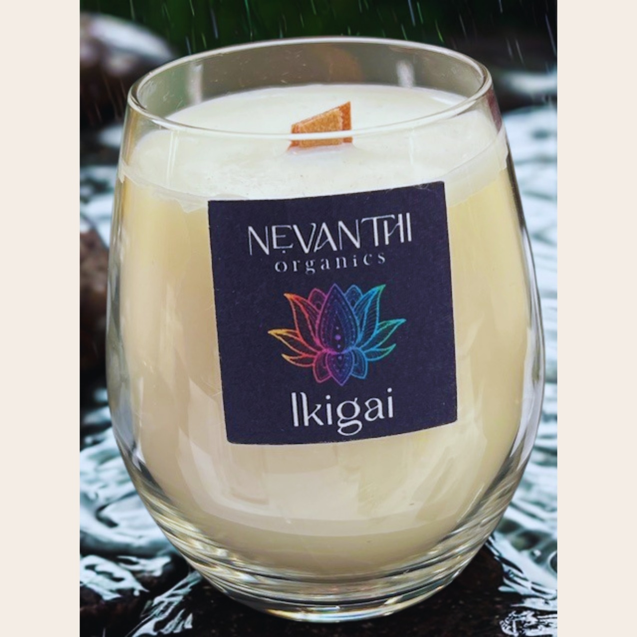 Ikigai, Soy wax candle, wooden wick, grapefruit, waterlily, honeysuckle - Nevanthi Organics